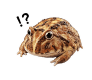 842628962