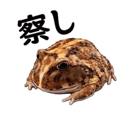 842628966