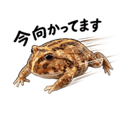 842628977
