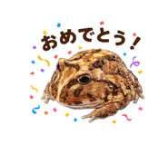 842628978