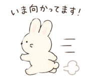 842629462