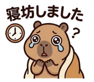842629556