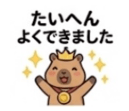 842629564