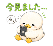 842629610