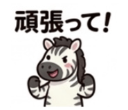 842629646