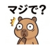 842629802