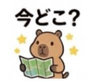 842629804