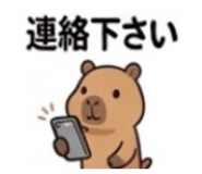 842629807