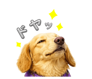 842629853