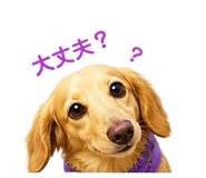 842629855