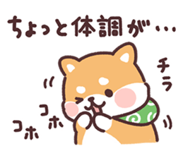 842630116