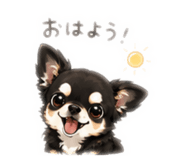842630425