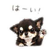 842630447