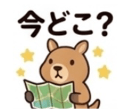 842630541