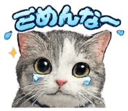 842630603