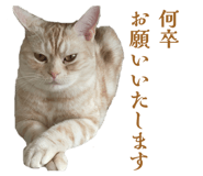842630851