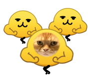 842630856