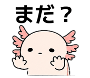 842630893