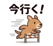 842631111