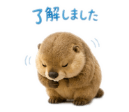 842632155
