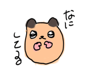 842632236