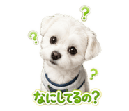 842632371