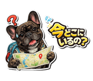 842632522