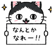 842632744