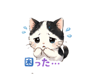 842633075