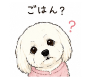 842633303
