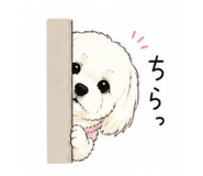 842633305