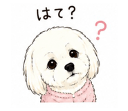 842633308