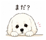 842633311
