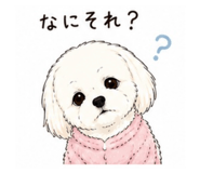 842633316