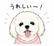 842633325