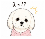 842633328
