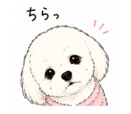 842633335