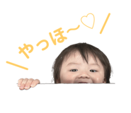 842633372
