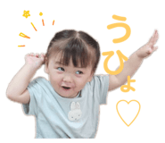 842633375