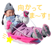 842633377