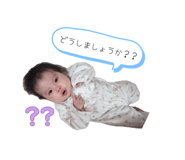 842633444