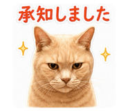 842633509