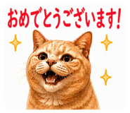 842633515