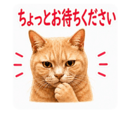 842633520