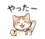 842633814