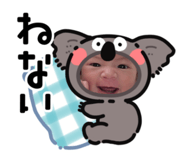 842633924