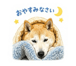 842634035