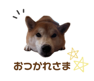 842634097