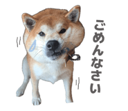 842634100