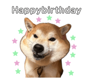 842634110